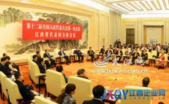 江西代表團舉行全體會議 王岐山參加審議