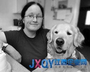 英“聰明犬”能聽懂150種命令 能為嬰兒換尿布