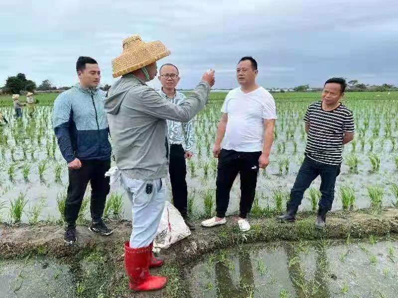 南繁：刻進(jìn)生命的華章