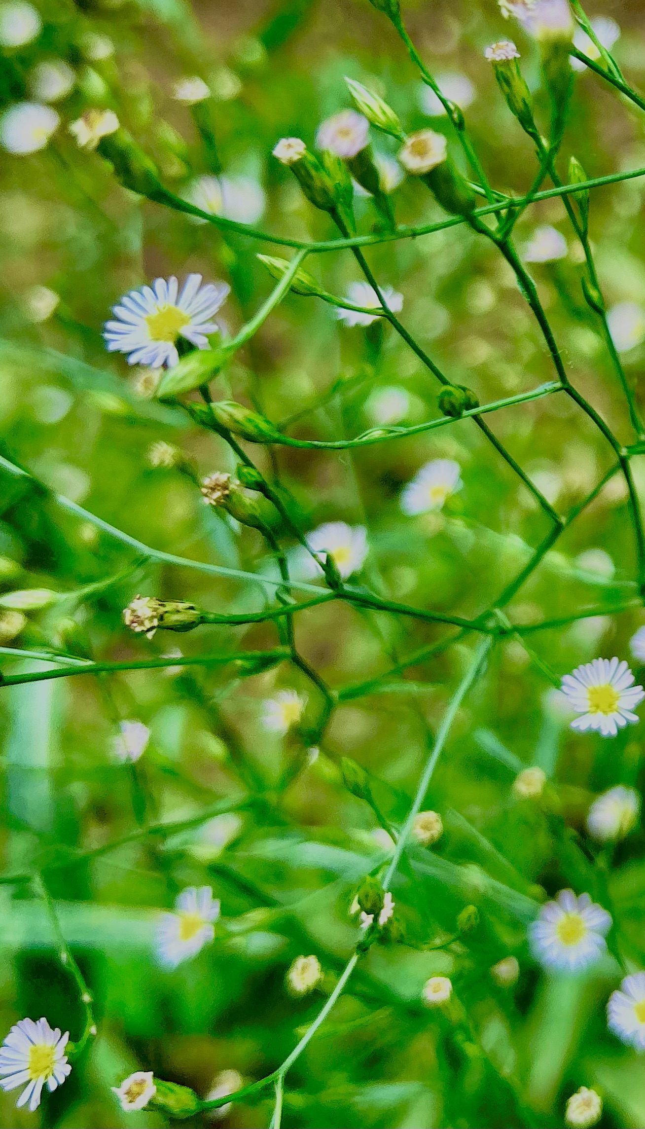 富德生命人壽&ldquo;小海豚計(jì)劃&rdquo;助力山區(qū)兒童，意外保險(xiǎn)理賠溫暖人心