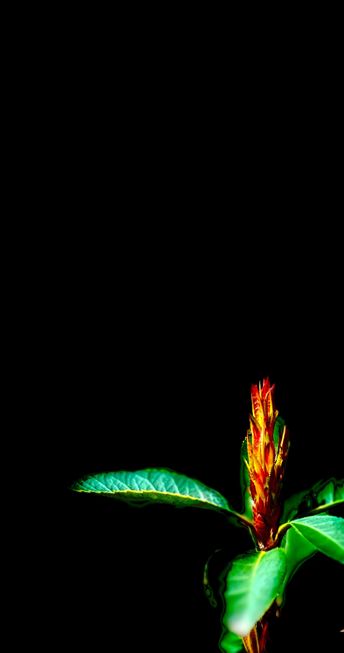 富德生命推出&ldquo;臻愛保&rdquo;長(zhǎng)期護(hù)理保險(xiǎn)，為失能群體提供全面保障