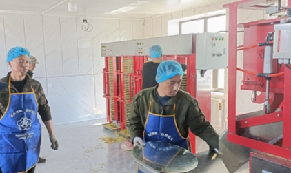 中國人壽助力鄉(xiāng)村產(chǎn)業(yè)蝶變  譜寫黑土地上的振興新篇